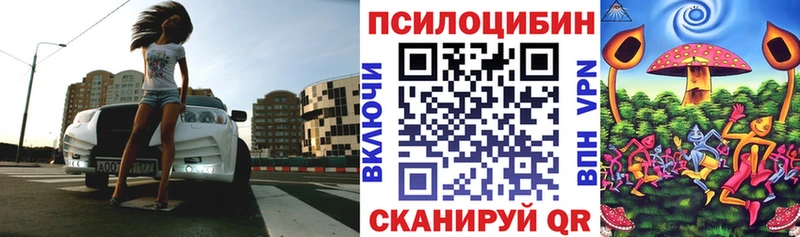 площадка состав  Кызыл  Псилоцибиновые грибы прущие грибы 